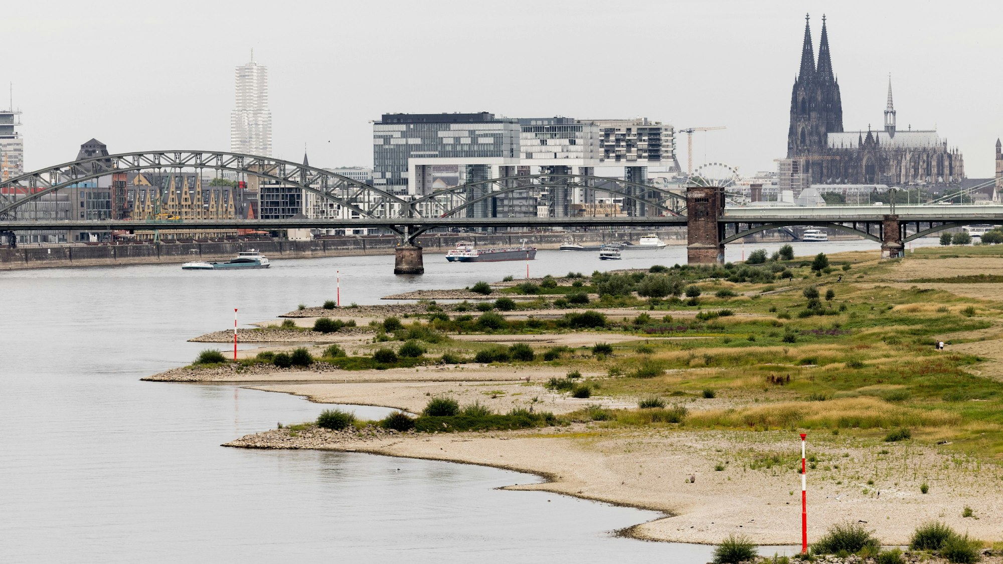 Blick auf den Rhein bei einem Pegel von 154 cm - im Hintergrund ist der Kölner Dom zu sehen. Der Klimawandel hat in Deutschland seit 2000 jährliche Schäden von durchschnittlich 6,6 Milliarden Euro verursacht.