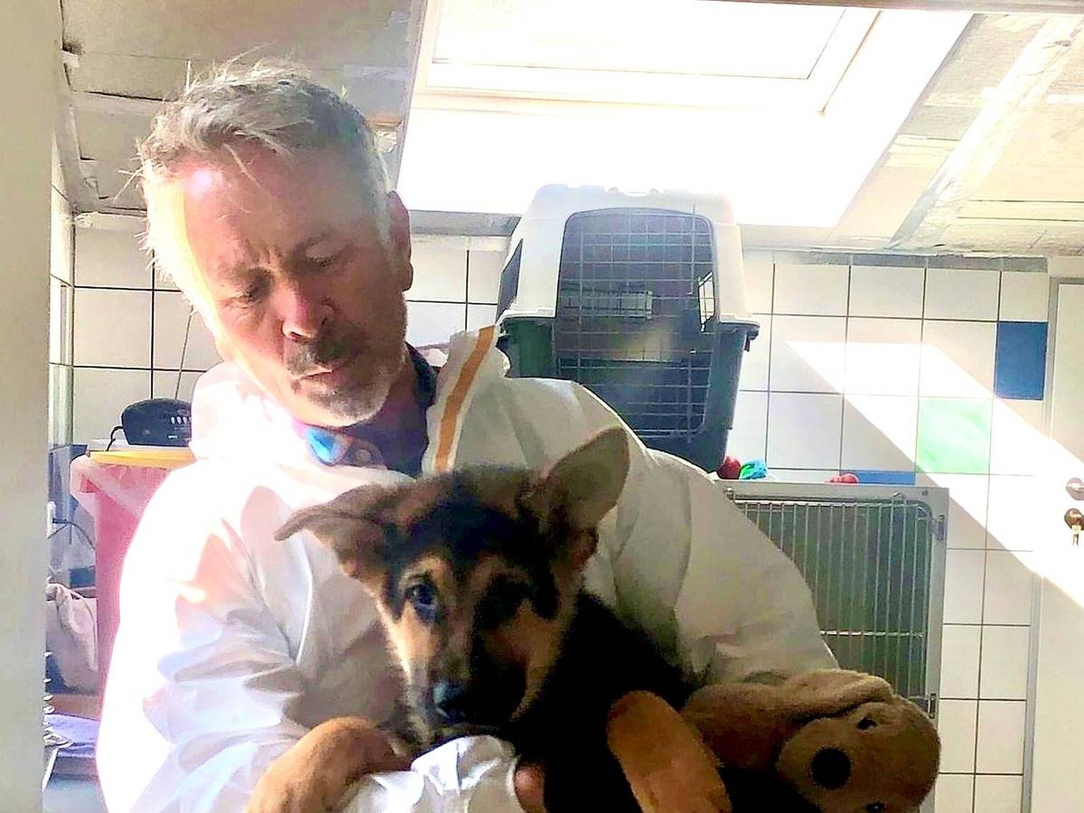 Ein Mann hält Schäferhundwelpe Poldi auf dem Arm. Im Hintergrund stehen Tierboxen in einem gekachelten Raum.