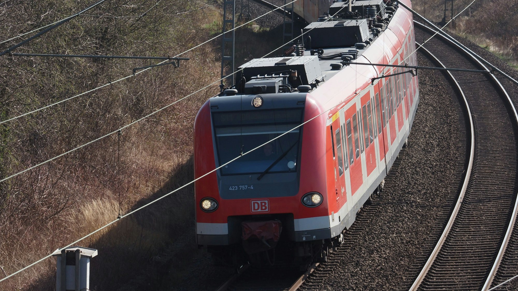 Eine S-Bahn fährt auf einem Gleis in Köln.