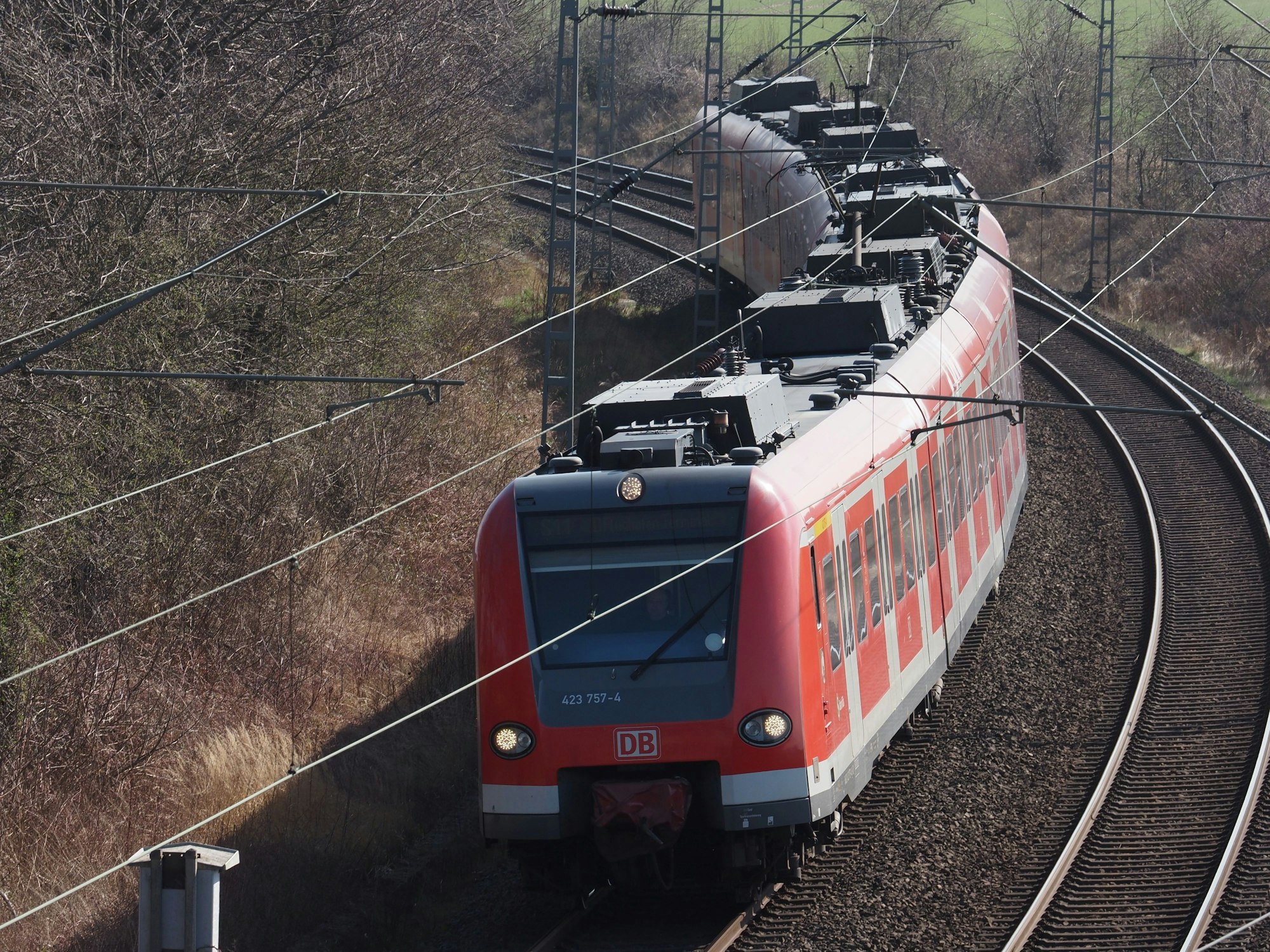Eine S-Bahn fährt auf einem Gleis in Köln.