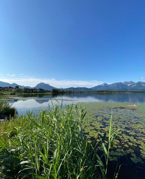 Das Seepanorama am Hopfensee bei Füssen