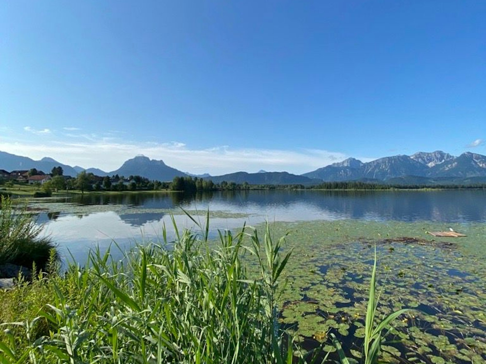 Das Seepanorama am Hopfensee bei Füssen