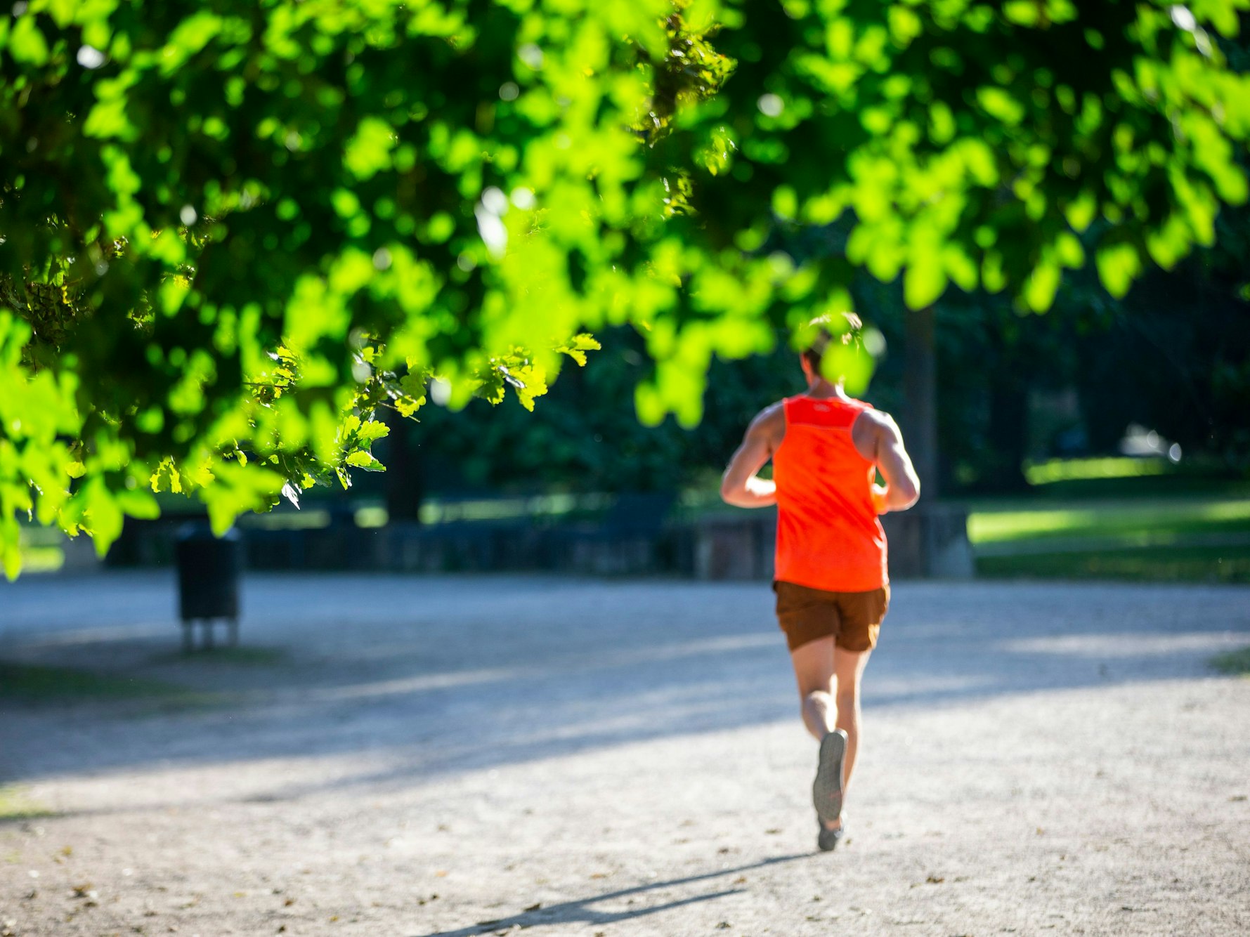 Eine Joggerin läuft am frühen Morgen durch den sonnigen Kölner Stadtwald.