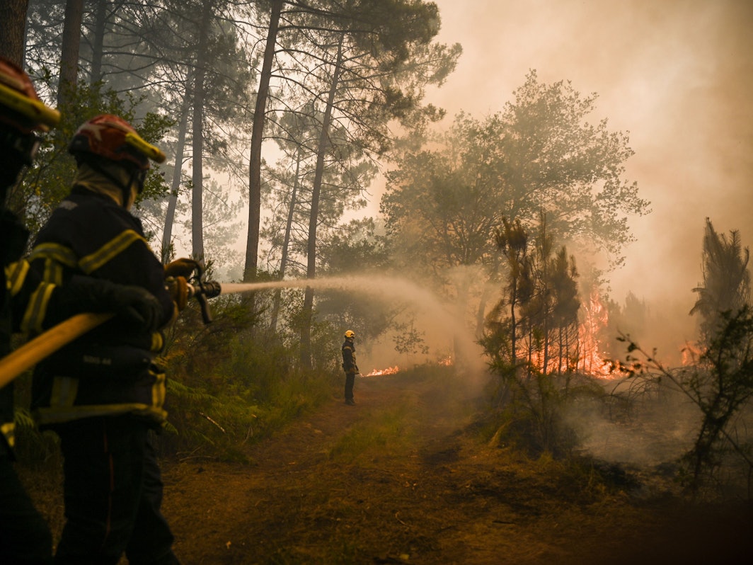 Feuerwehrleute spritzen Wasser auf Bäume bei einem Waldbrand in der Nähe von Louchats. Wegen der Waldbrände an der südfranzösischen Atlantikküste mussten Tausende Menschen vorsichtshalber ihre Häuser verlassen.