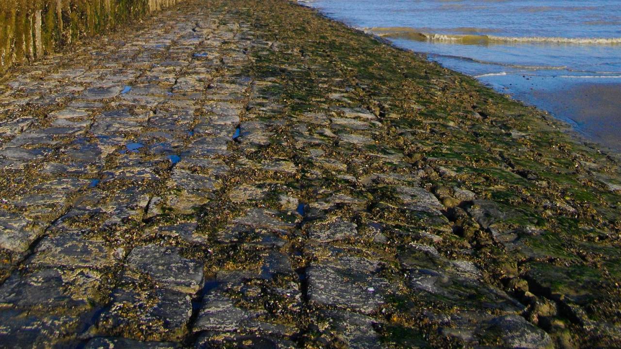 Das Meer am Strand von Cadzand-Bad.
