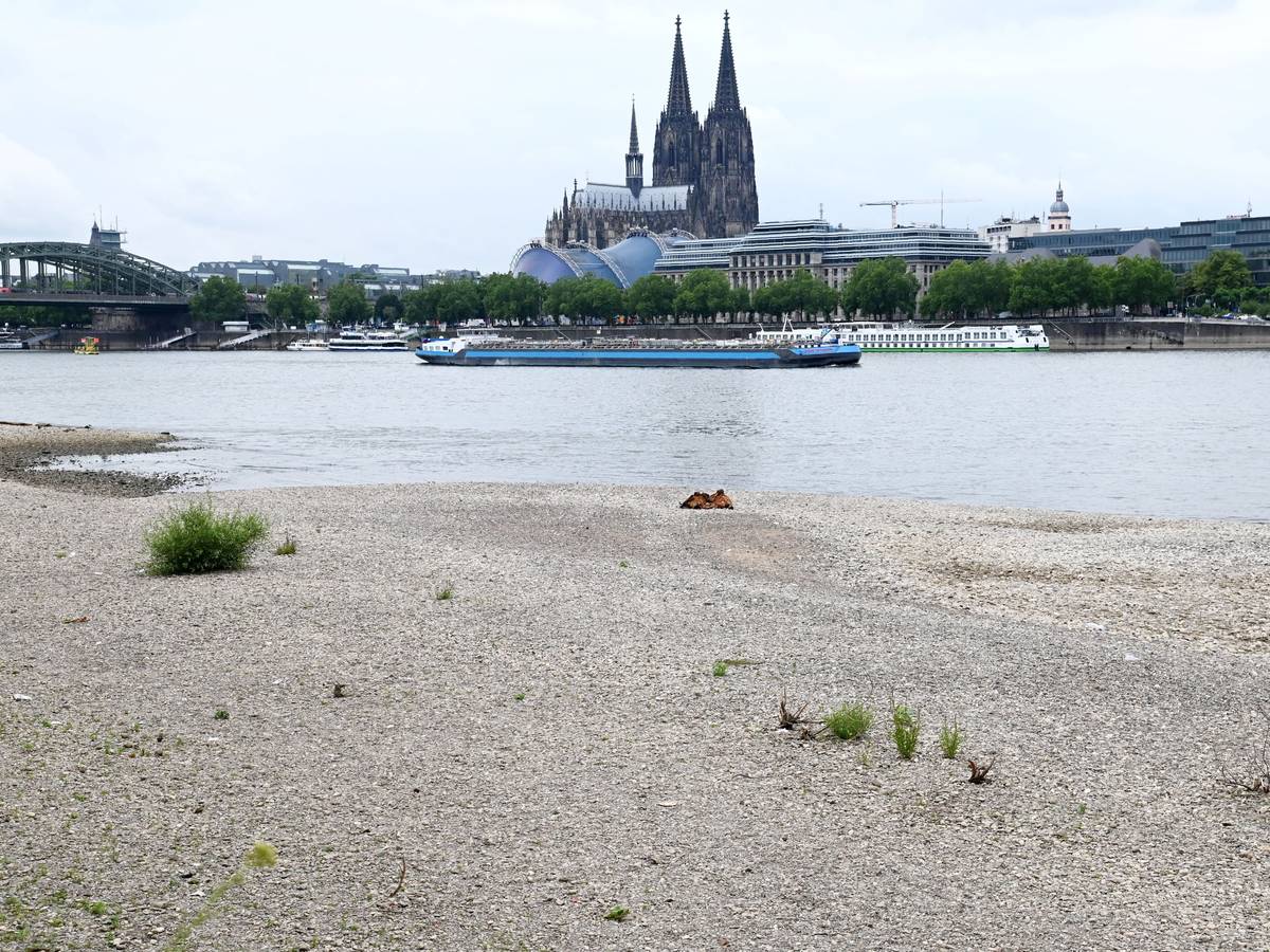 Der Rhein in Köln mit Niedrigwasser und einem Pegelstand um die 1,79 Meter am 22. Juni 2022.