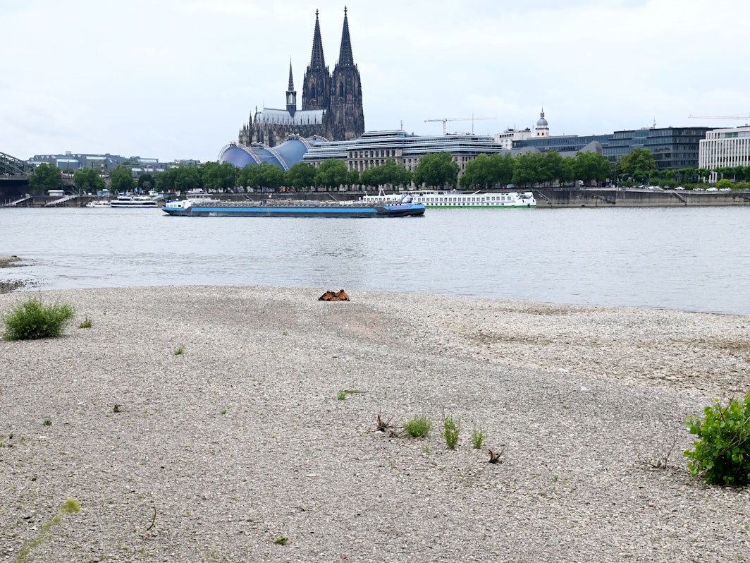 Der Rhein in Köln mit Niedrigwasser und einem Pegelstand um die 1,79 Meter am 22. Juni 2022.