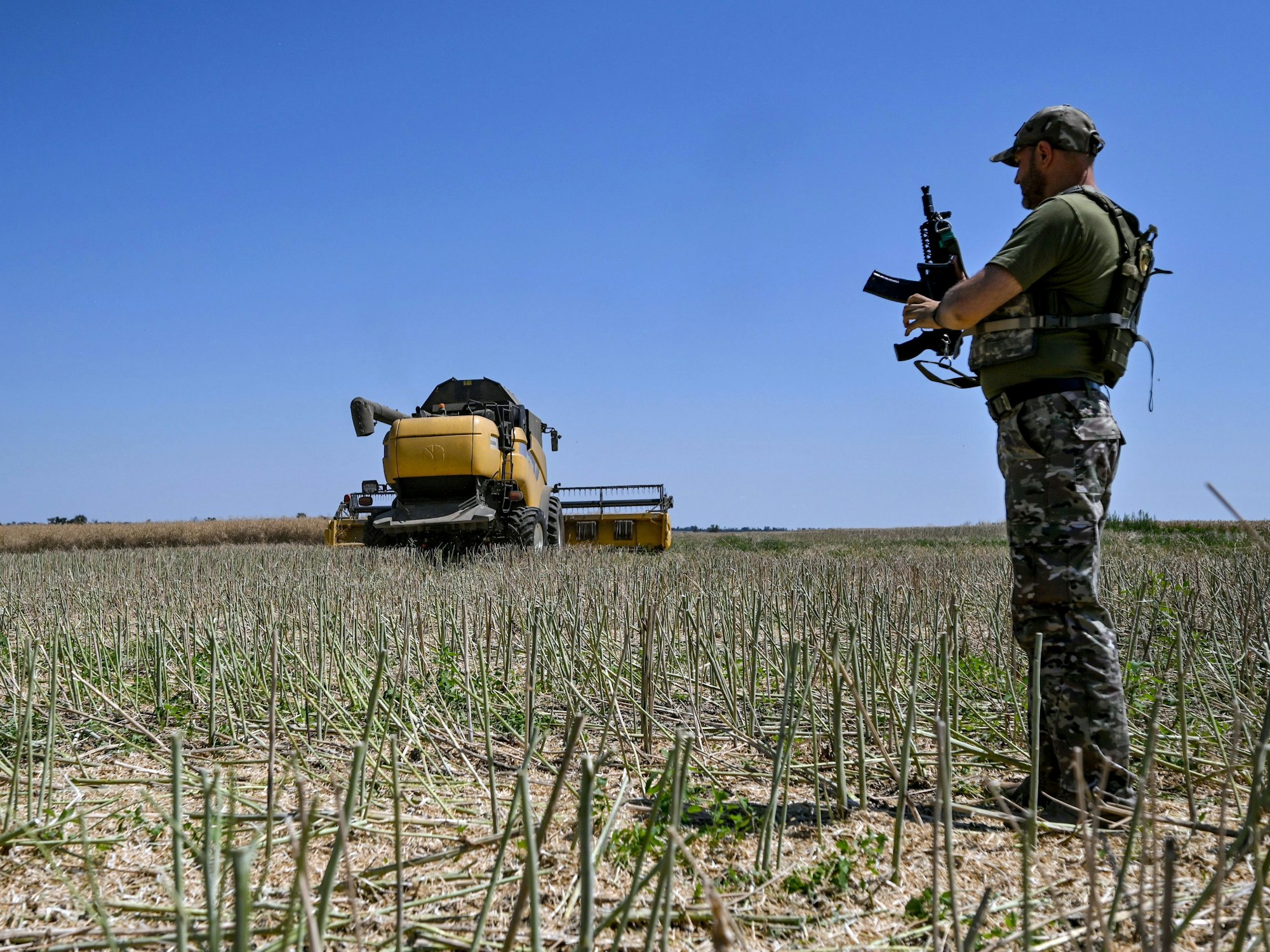 Ein Soldat steht während der Erntezeit auf einem Feld in der Ukraine, Aufnahme von Juli 2022.