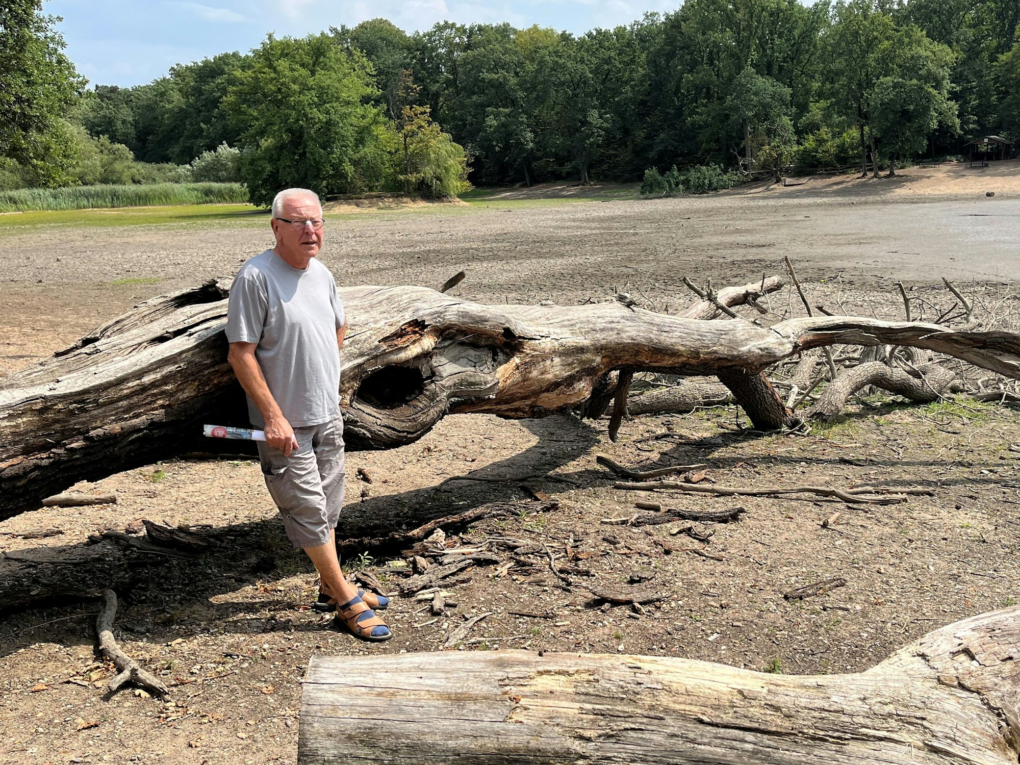 Der ausgetrocknete Scheuermühlenteich ist ein trauriger Anblick.