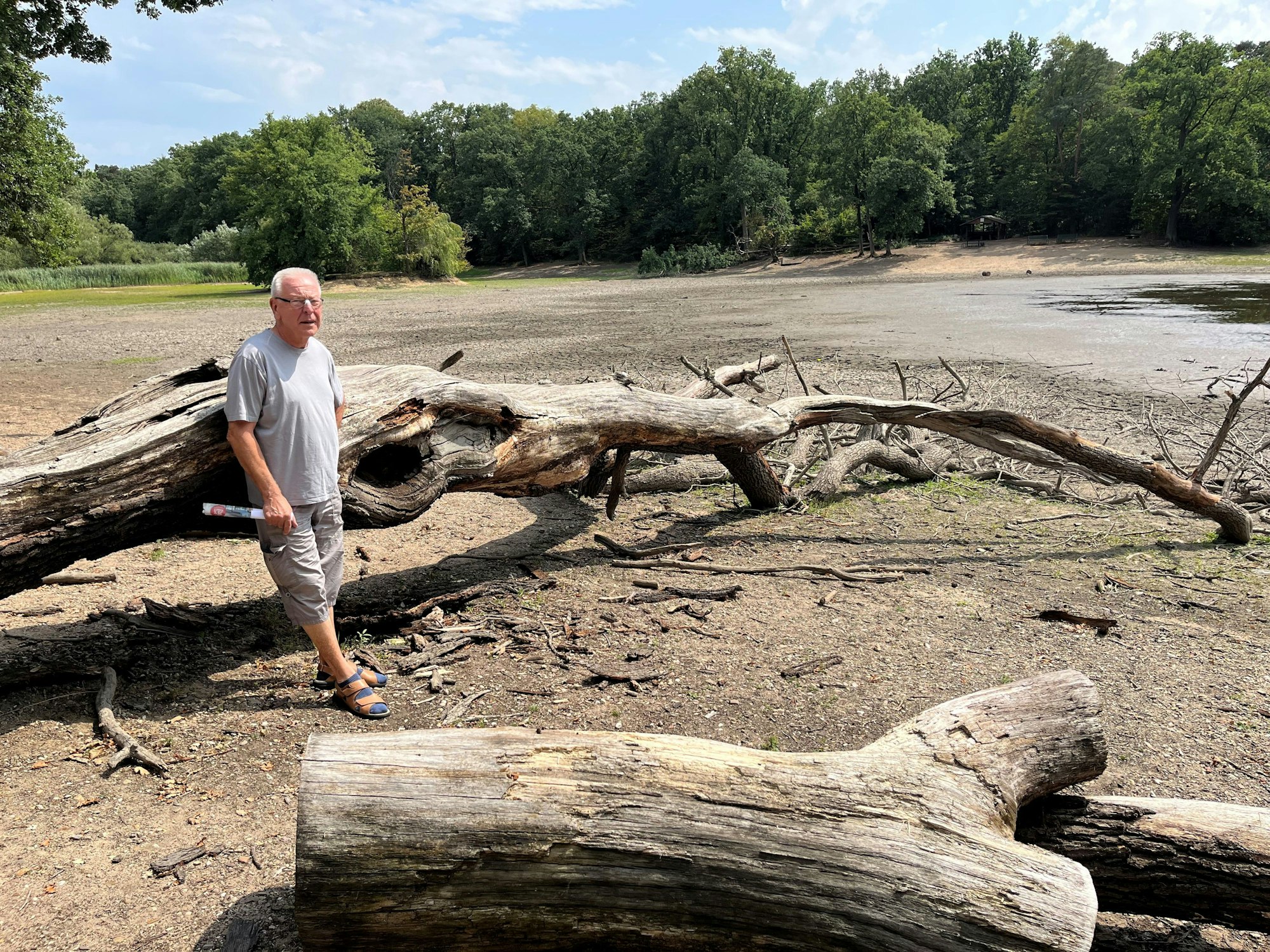 Der ausgetrocknete Scheuermühlenteich ist ein trauriger Anblick.
