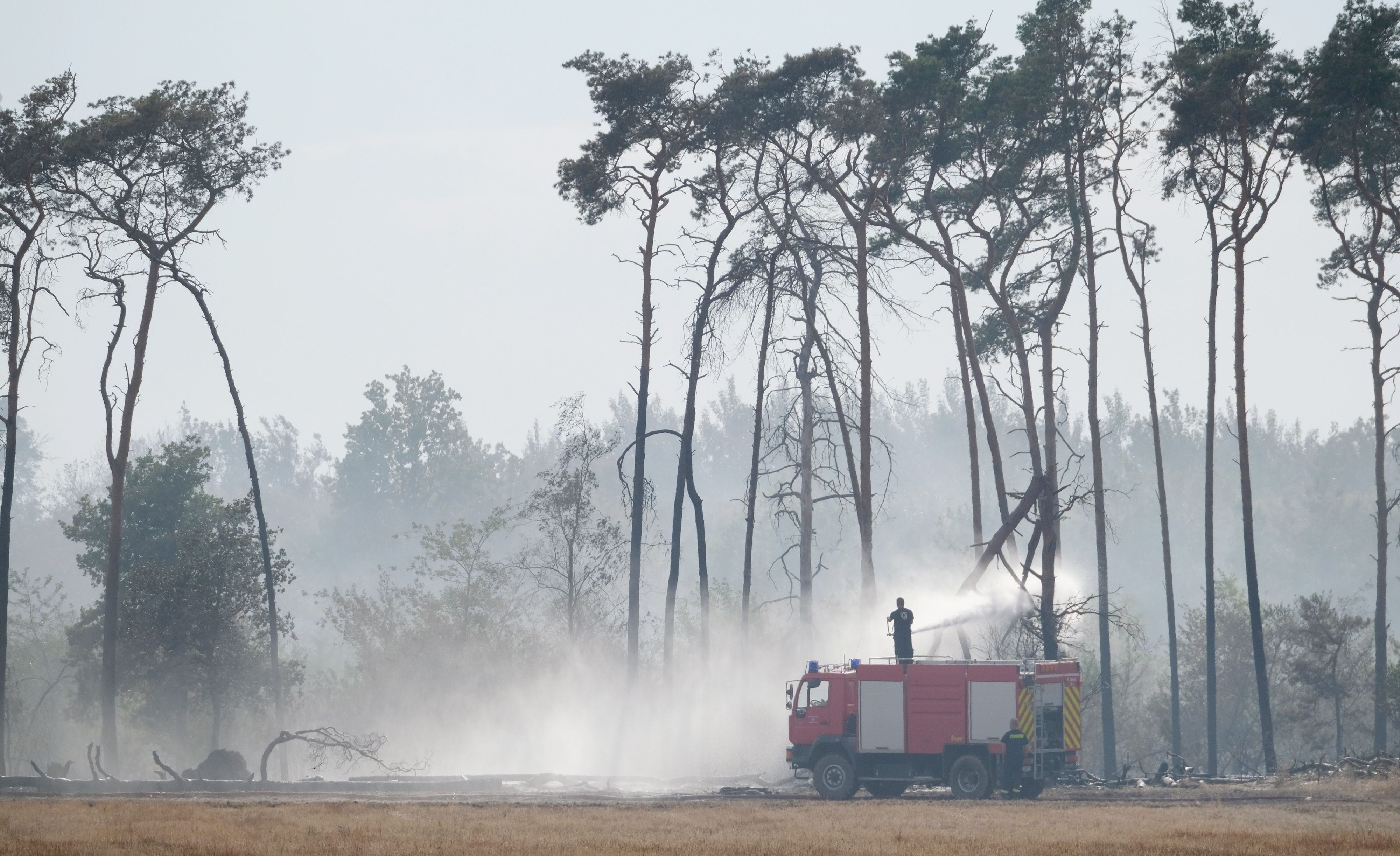 Die Feuerwehr löscht einen Waldbrand in Falkenberg (Landkreis Elbe-Elster, Brandenburg) am 26. Juli 2022.