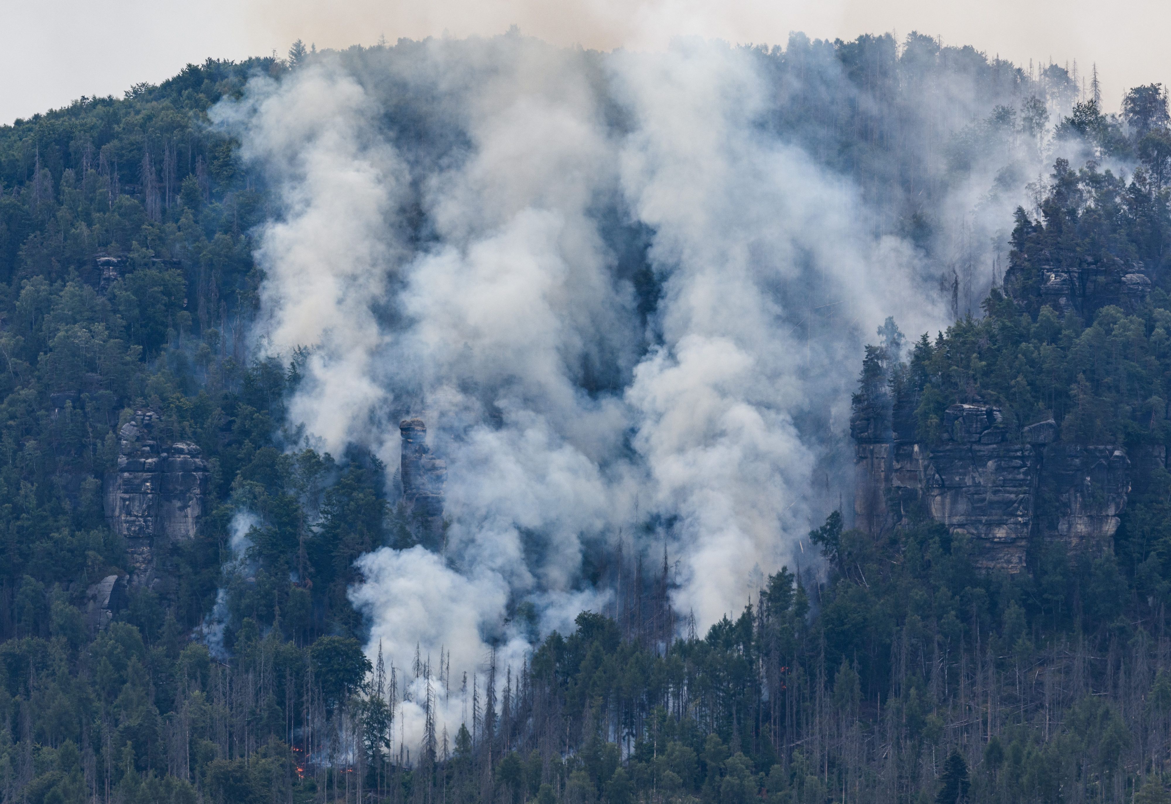 Der Wald im Nationalpark Sächsische Schweiz brennt: Für Bad Schandau (Sachsen) sei Katastrophenalarm ausgelöst worden, sagte ein Sprecher des Landratsamtes Landkreis Sächsische Schweiz-Osterzgebirge am Dienstagmorgen (26. Juli 2022).