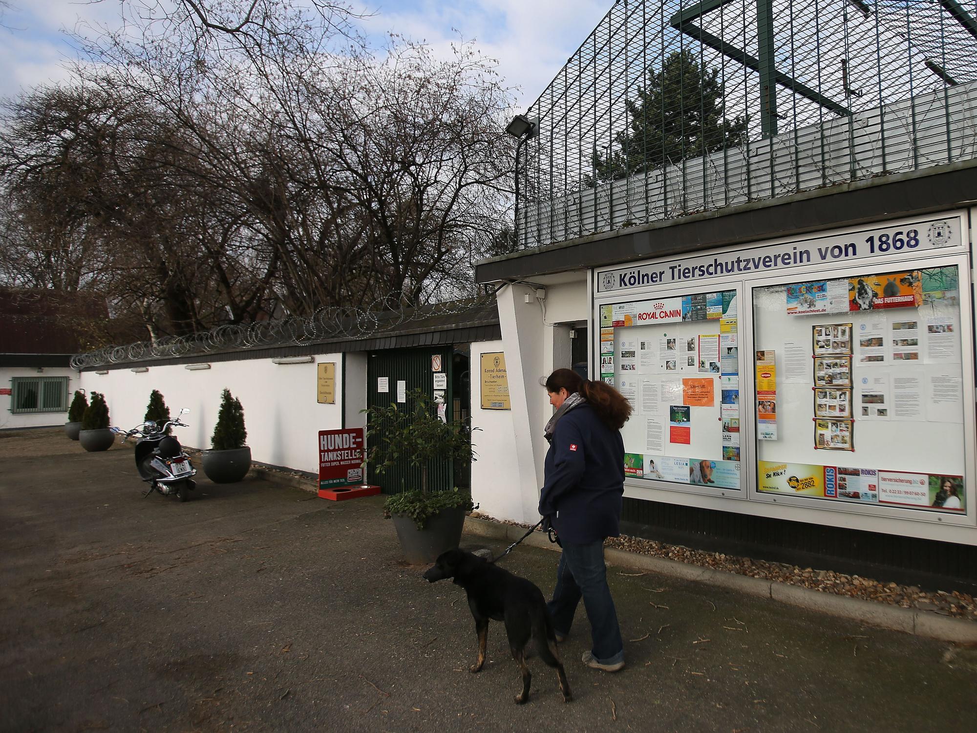 Der Hund Jeff und die Leiterin des Tierheims Köln-Zollstock, Petra Gerigk, gehen vor dem Heim spazieren.