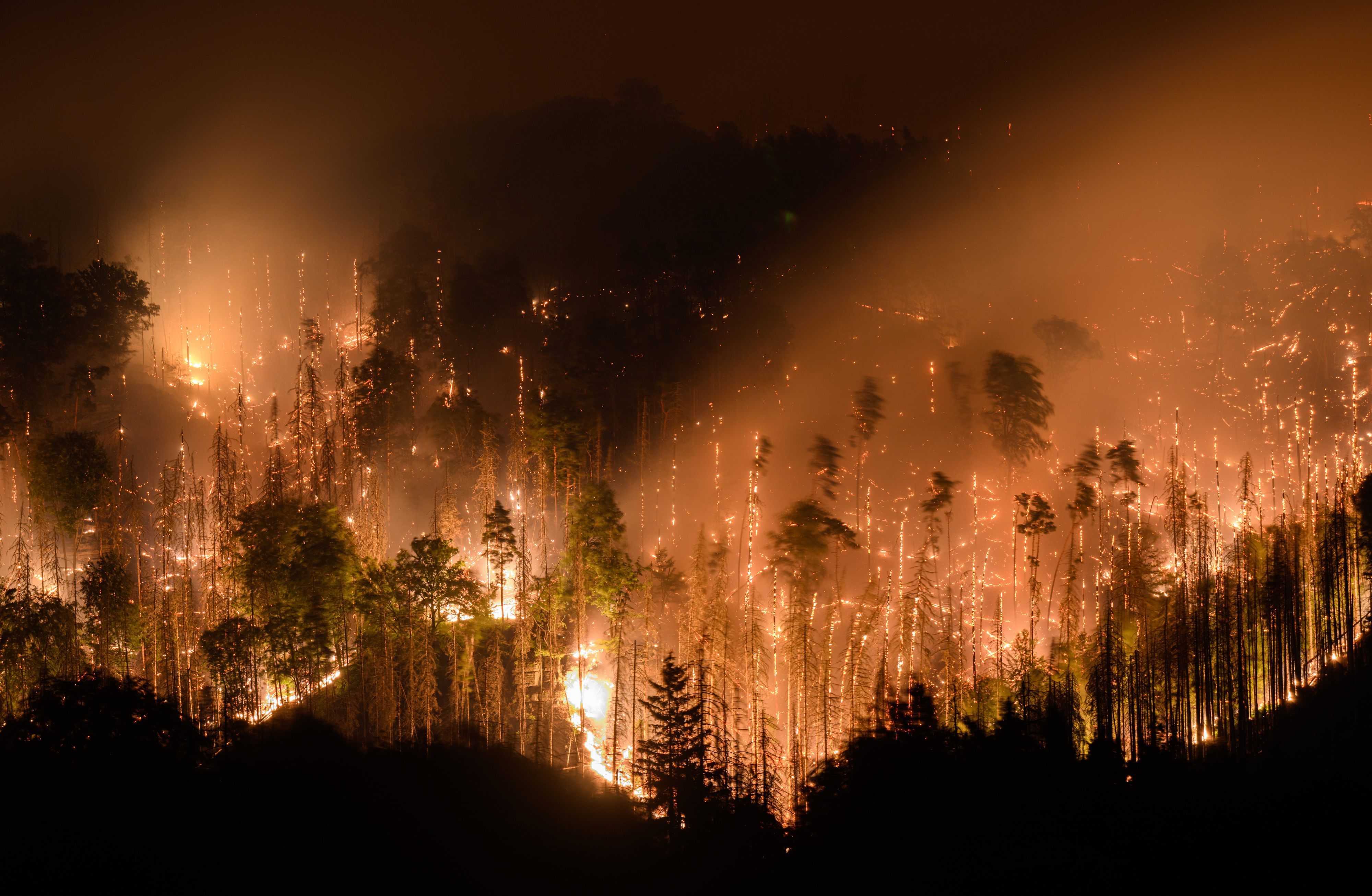 Blick auf den Waldbrand im tschechischen Nationalpark Böhmische Schweiz in Hrensko nahe der Grenze zu Sachsen. Das Foto wurde am 26. Juli 2022 aufgenommen.