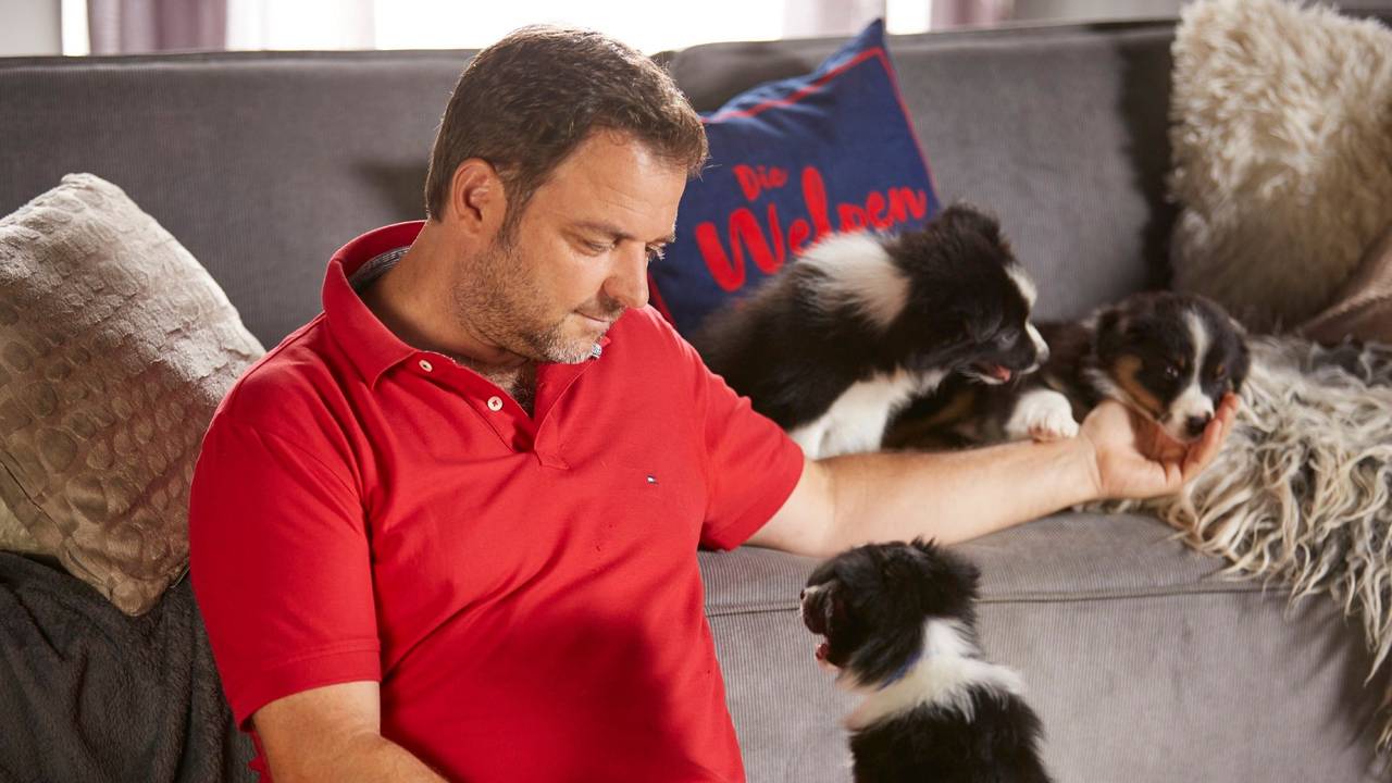 Hundeprofi Martin Rütter, hier auf einem undatierten RTL-Pressefoto, spielt mit drei Welpen.