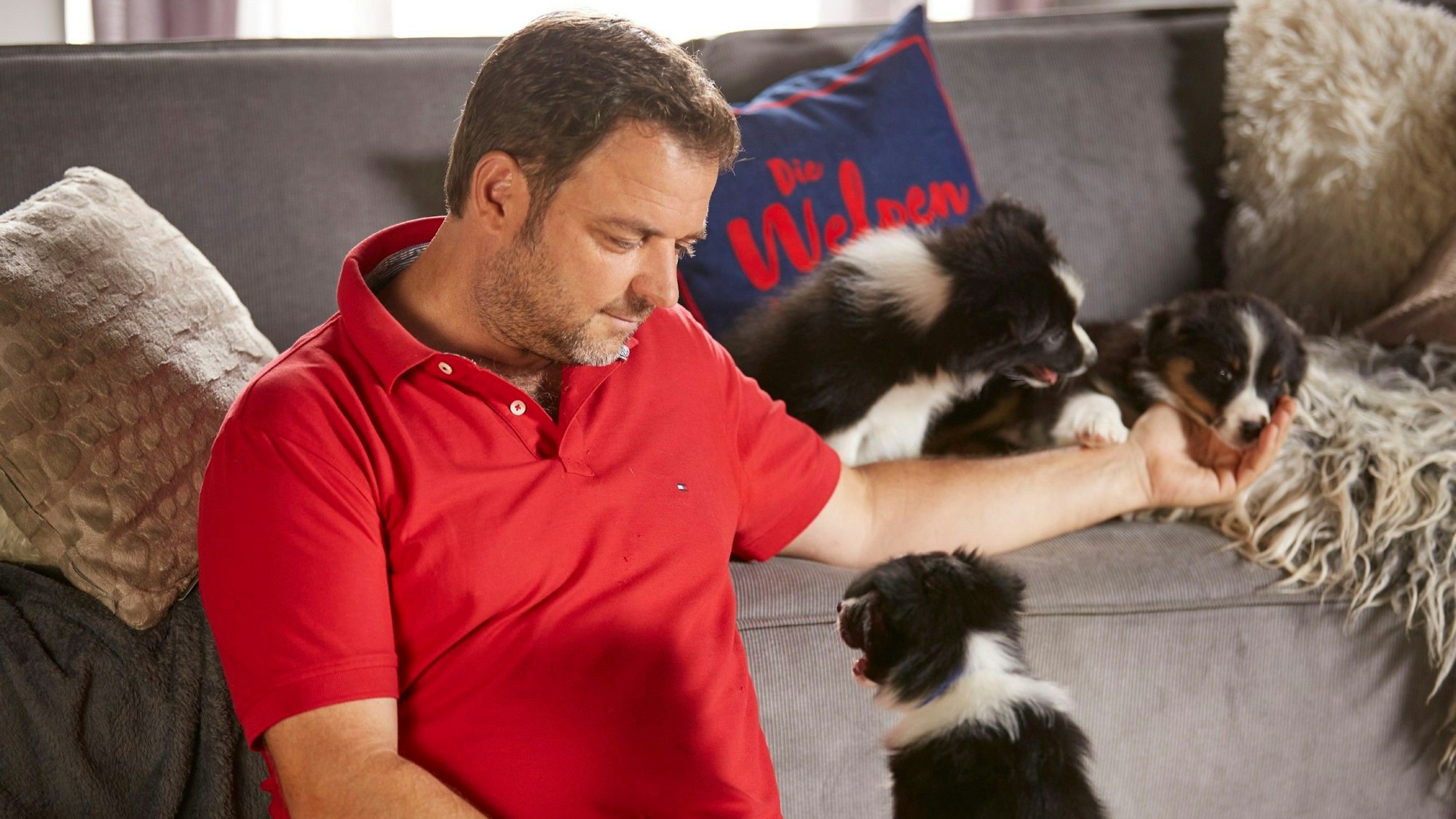 Hundeprofi Martin Rütter, hier auf einem undatierten RTL-Pressefoto, spielt mit drei Welpen.