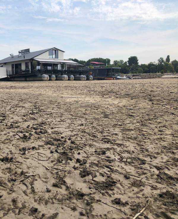 Das Restaurant "Sürther Bootshaus" liegt auf dem trockenen Grund des Rheins.