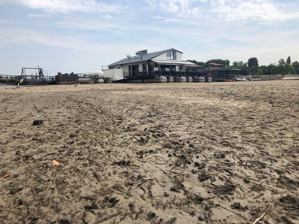 Das Restaurant "Sürther Bootshaus" liegt auf dem trockenen Grund des Rheins.