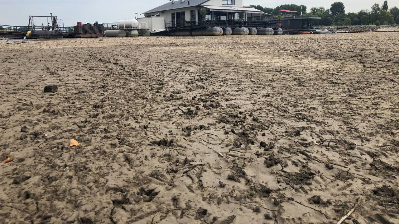 Das Restaurant "Sürther Bootshaus" liegt auf dem trockenen Grund des Rheins.