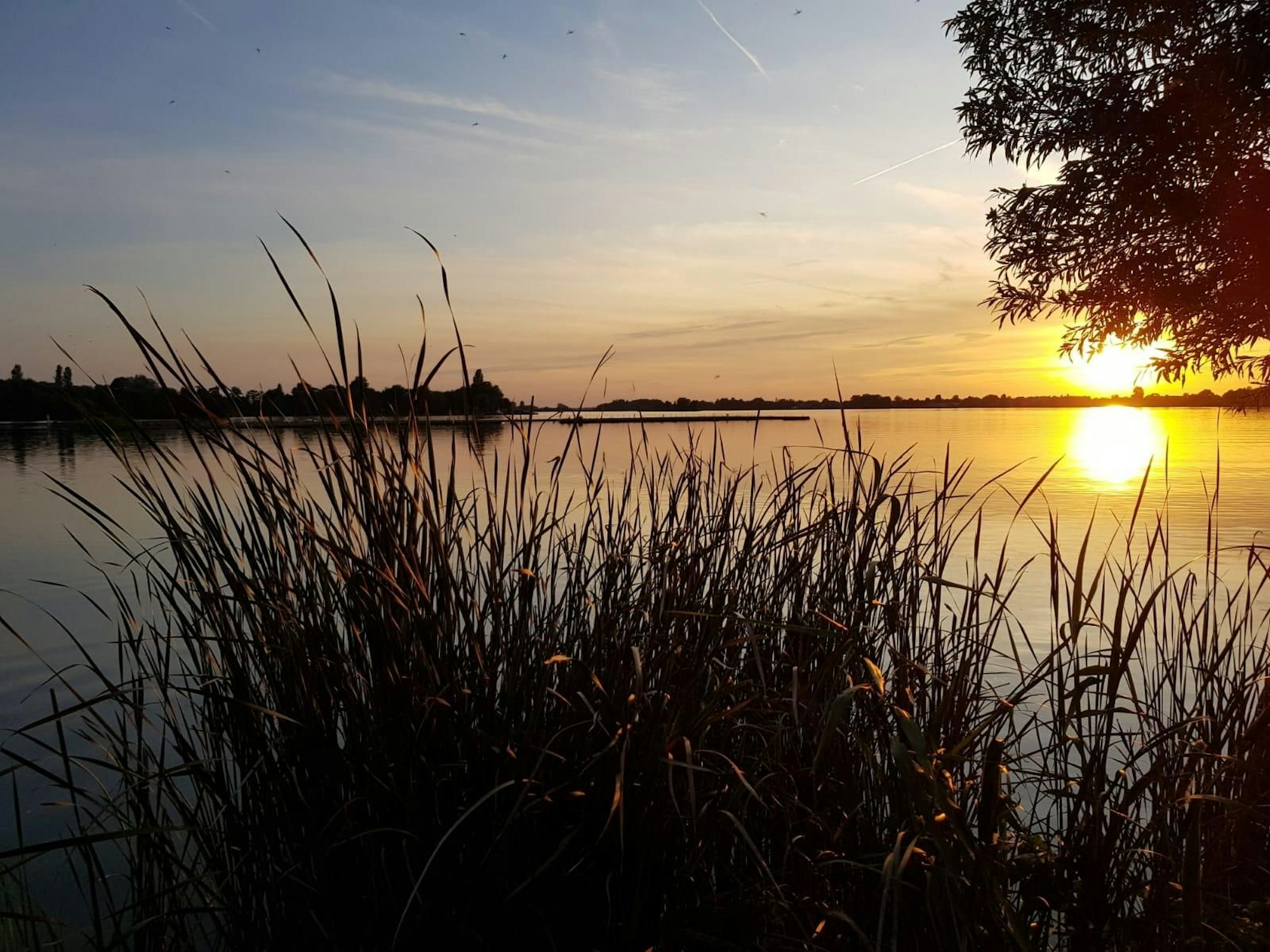 Zwischen den südholländischen Örtchen Leimuiden und Kudelstaart findest du eine wunderschöne Seenlandschaft.
