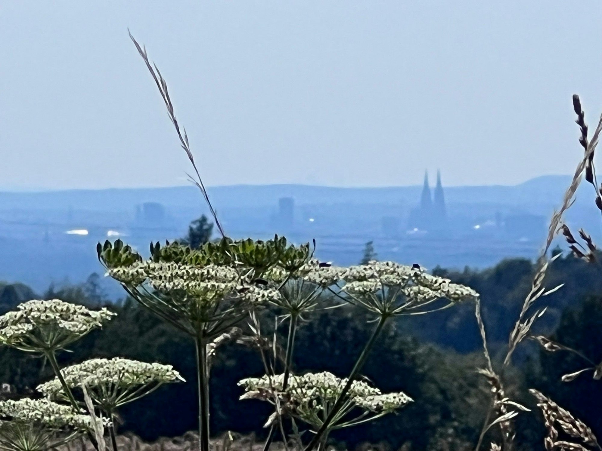 Atemberaubende Aussicht aus dem Bergischen auf Köln mit dem Dom