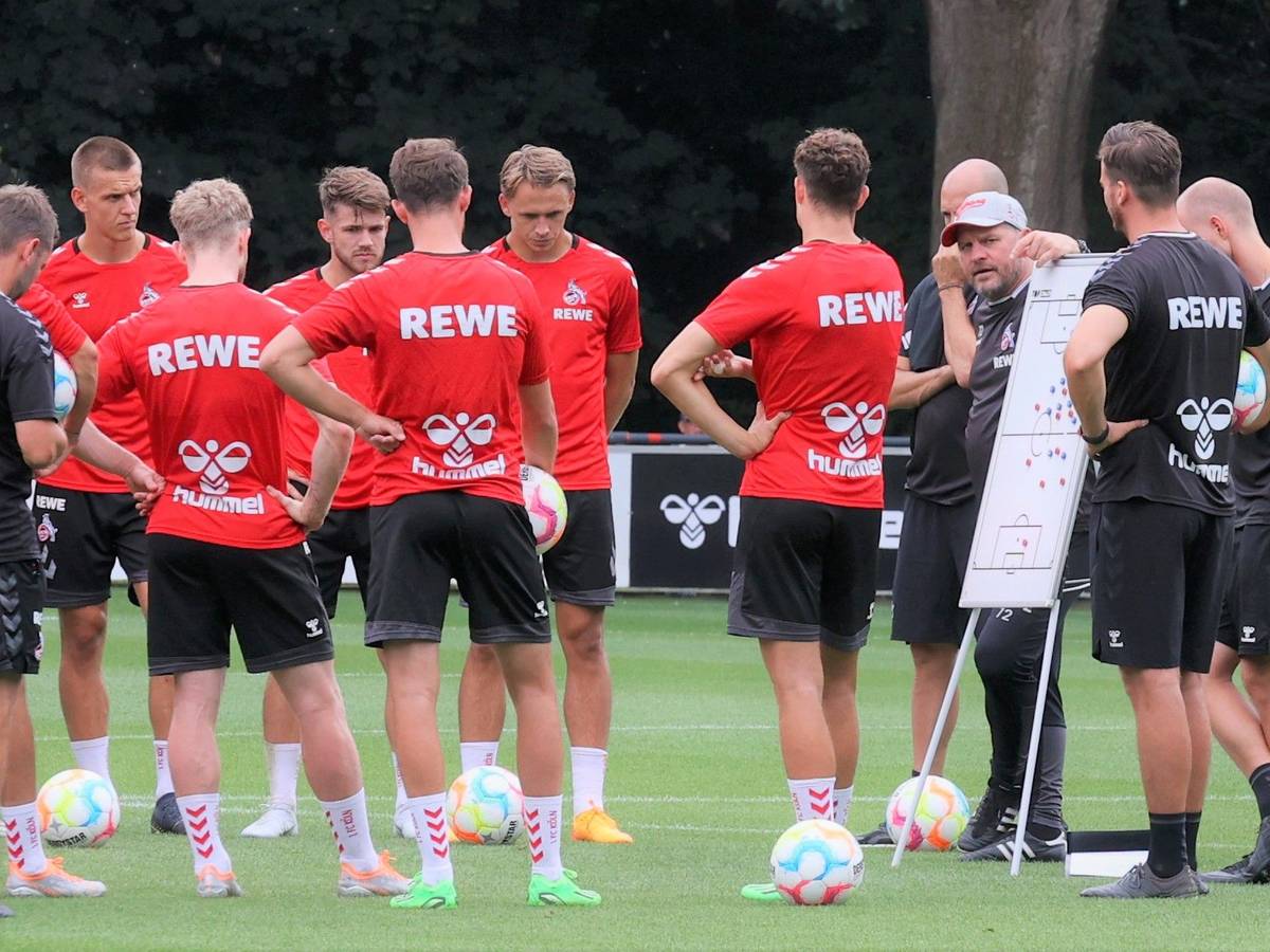 Steffen Baumgart spricht im Training des 1. FC Köln an einer Taktik-Tafel mit seiner Mannschaft