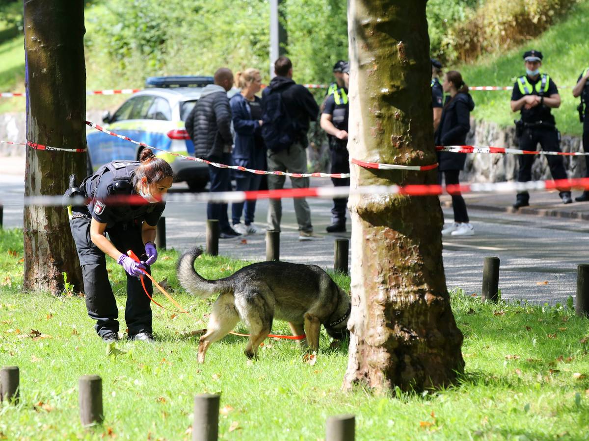 Eine Polizistin ist innerhalb einer Polizeiabsperrung mit einem Spürhund in Hamburg bei einem Einsatz.