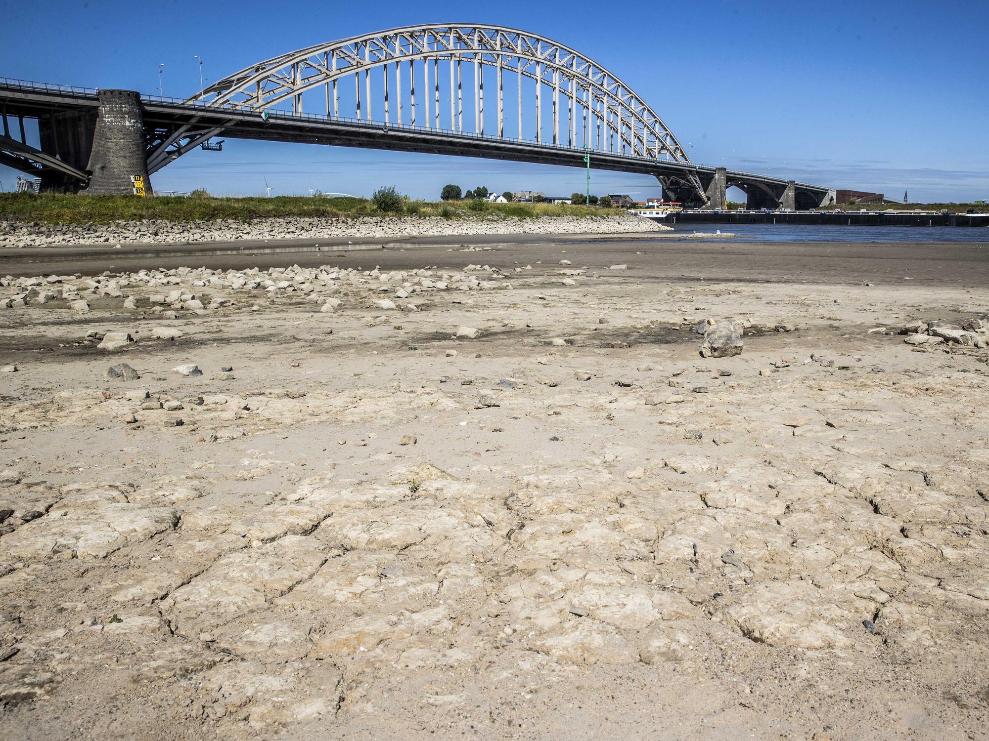 Dieses Foto zeigt das Niedrigwasser im niederländischen Fluss Waal Ende Juli.