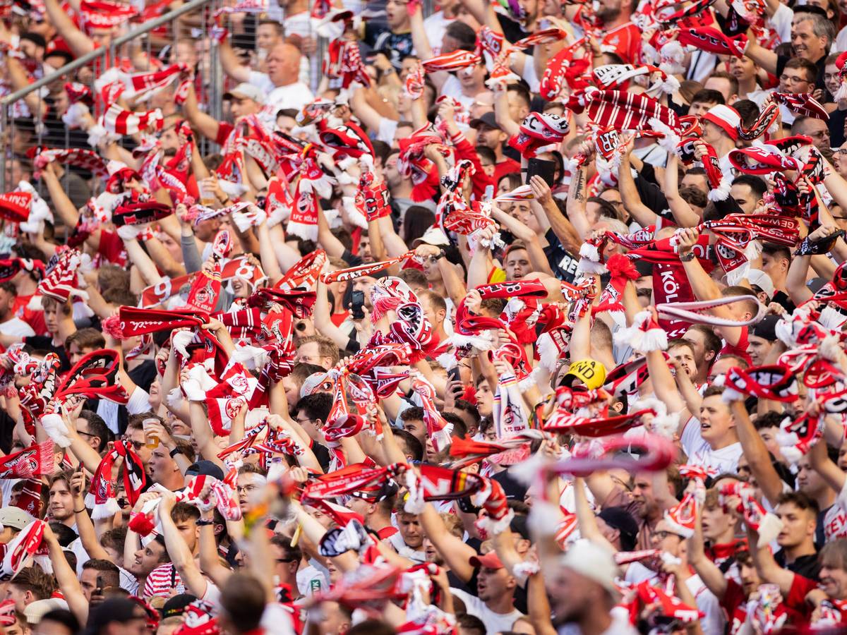 Fans des 1. FC Köln winken mit Schals.