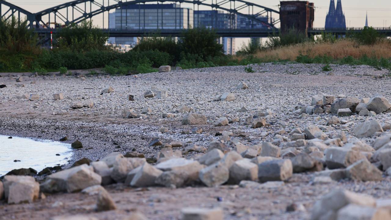 Steine liegen bei niedrigem Rheinpegel am Ufer.