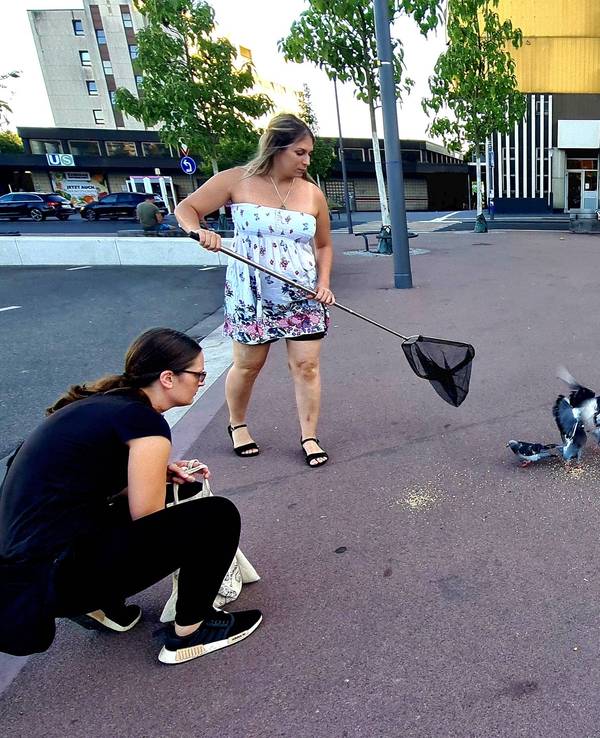 Giuliana Tadiotti und Jamie-Lynn Winkler-Jacobs vom Verein „Pigeon Rights“ versuchen, eine verletzte Taube in Köln-Chorweiler einzufangen.