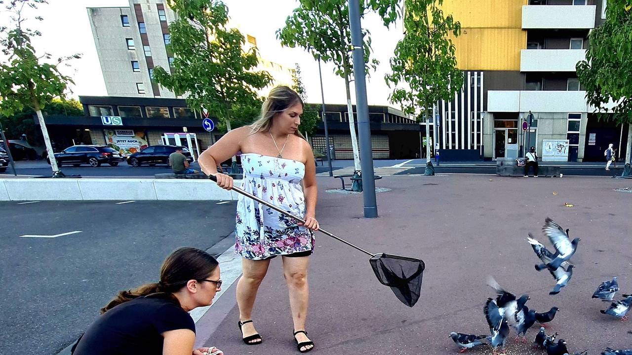 Giuliana Tadiotti und Jamie-Lynn Winkler-Jacobs vom Verein „Pigeon Rights“ versuchen, eine verletzte Taube in Köln-Chorweiler einzufangen.