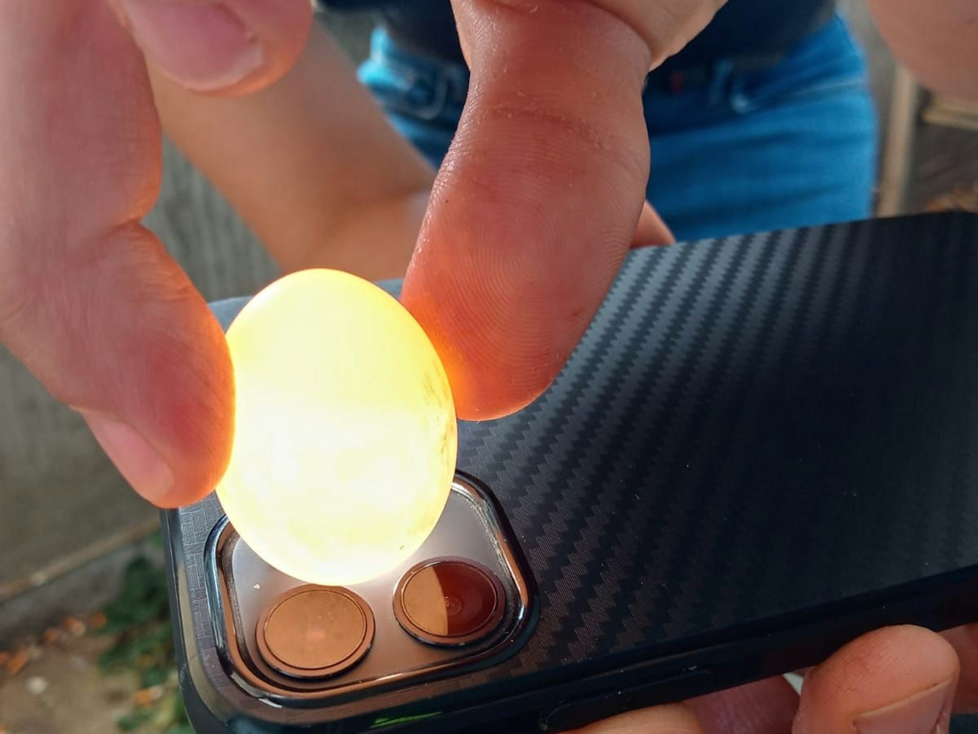 Ein Taubenei wird mit einer Handykamera angeleuchtet.