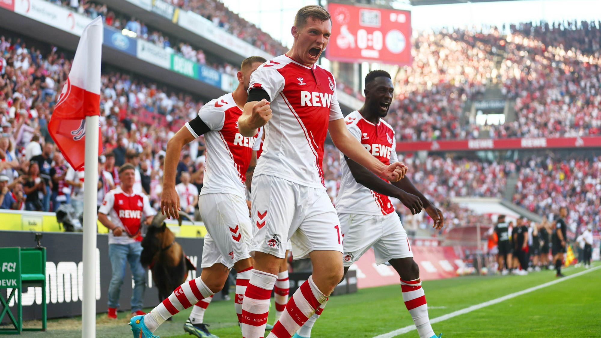 Der 1. FC Köln jubelt beim Bundesliga-Auftakt gegen Schalke 04