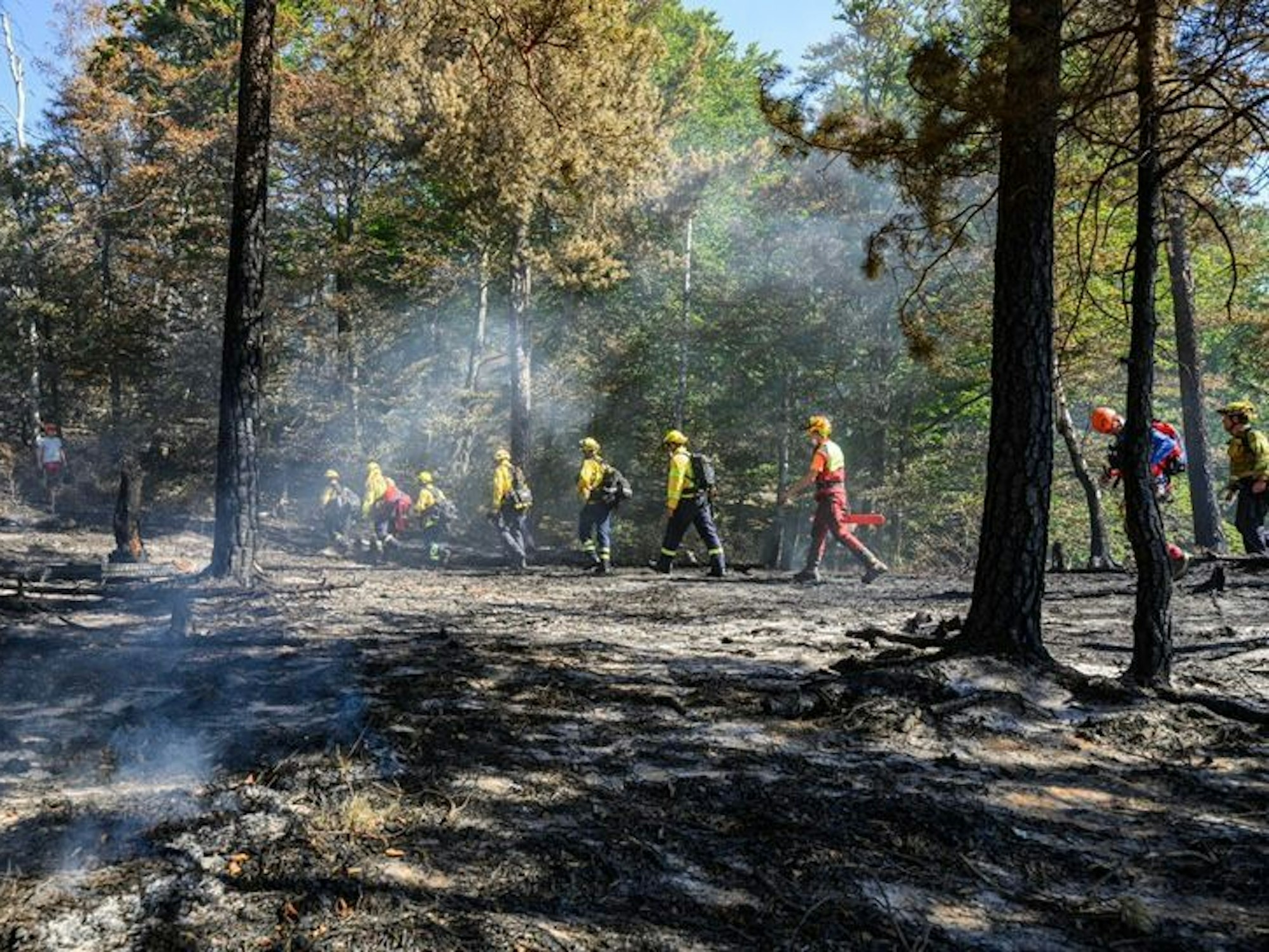 Feuerwehrleute laufen durch ein Waldgebiet in der Sächsischen Schweiz.