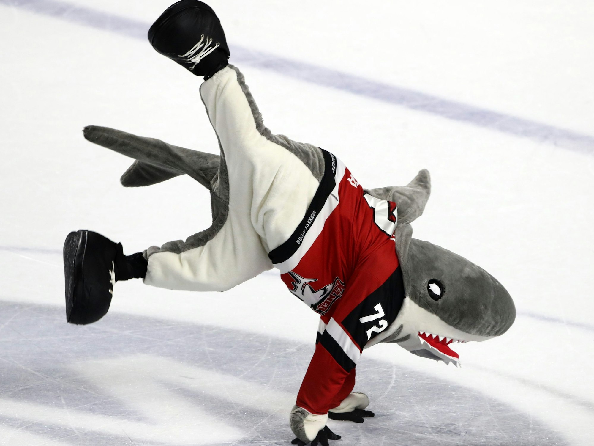 KEC-Maskottchen Sharky tanzt auf der Eisfläche.