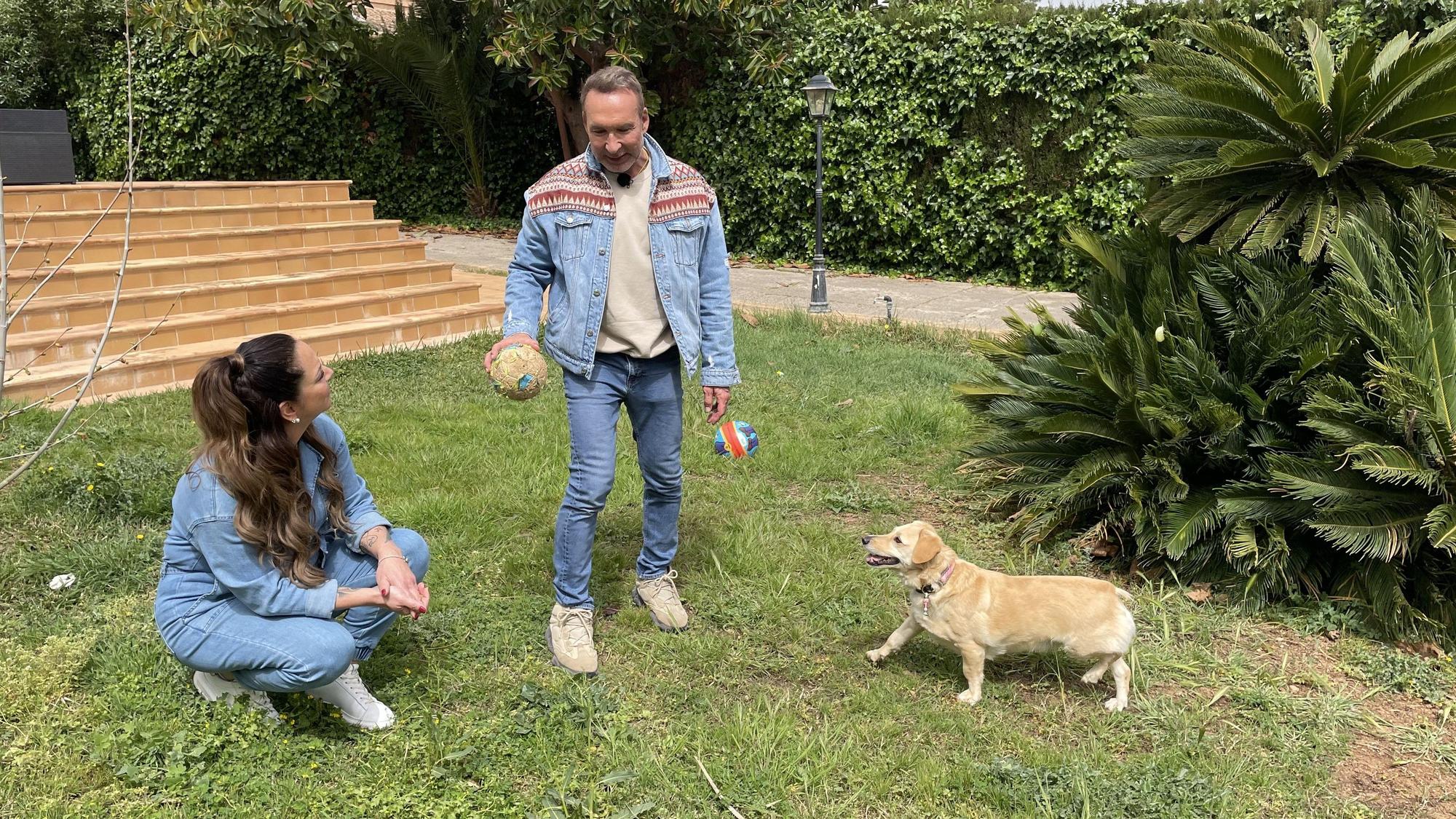 Promi sucht Hundeglück, Moderator Jochen Bendel mit Danni Büchner
Pressefoto: Sat.1 Gold