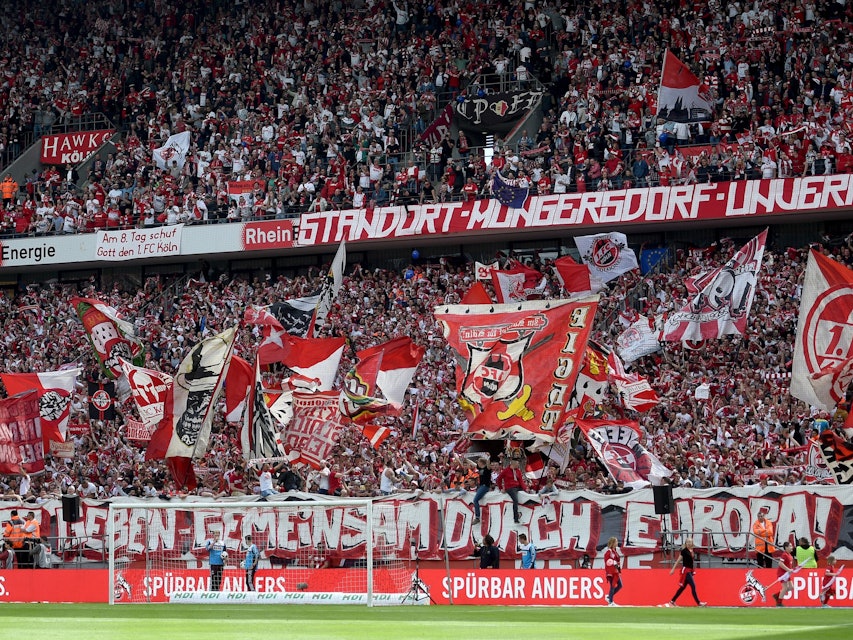 Die Fans des 1. FC Köln freuen sich auf die Saison im Europapokal. Das Foto zeigt die Südtribüne beim Spiel gegen Mainz 05 am 20. Mai 2017.