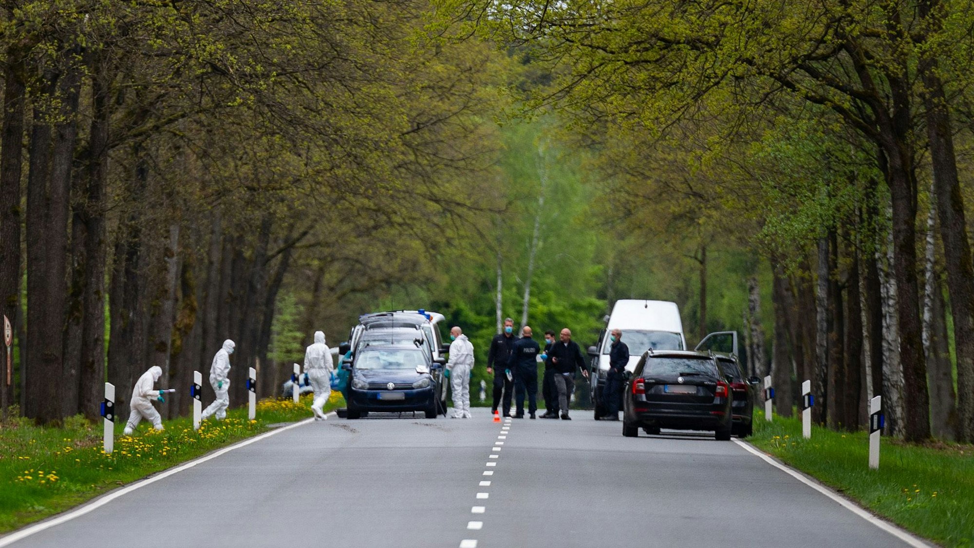 Polizei und Spurensicherung an einem Tatort in einem Wald.