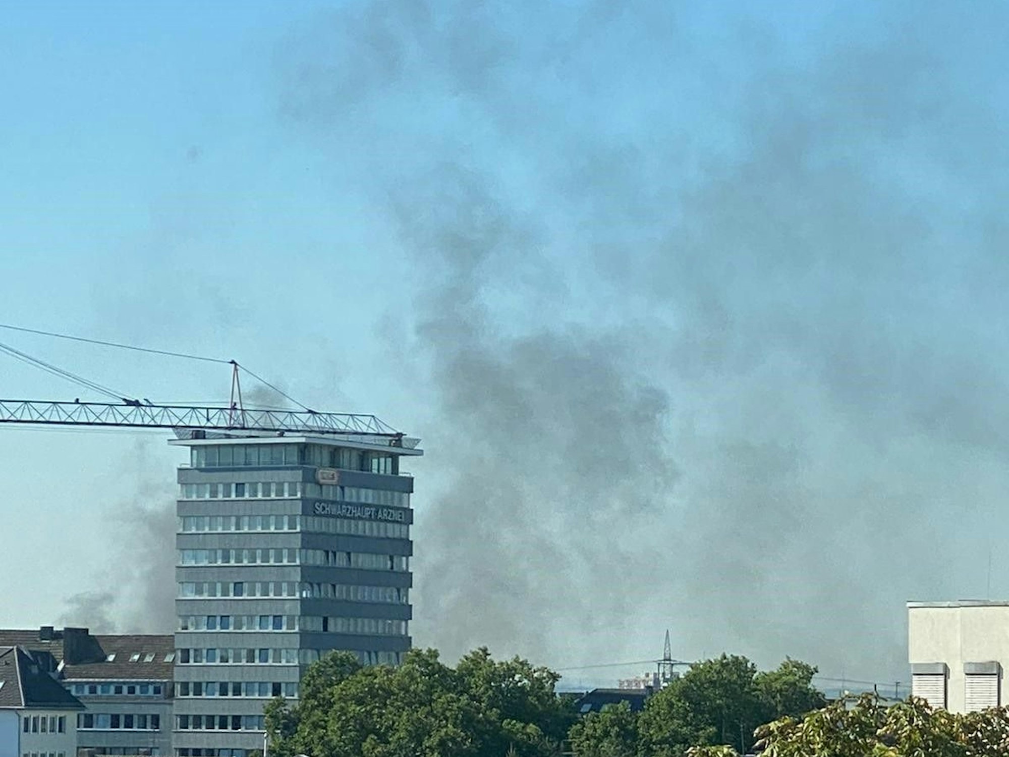 Schwarzer Qualm steigt zwischen Bäumen in den Himmel.