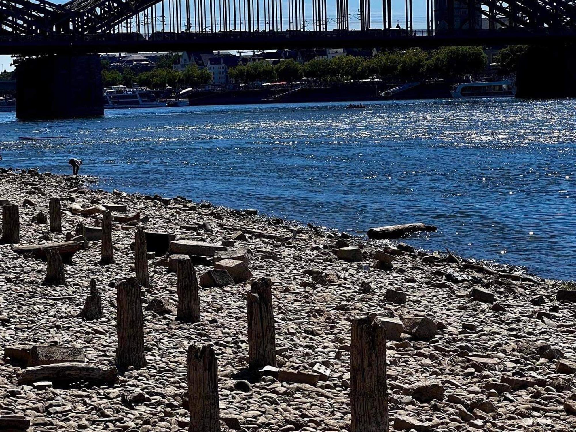 Überreste der Patton-Brücke am Kölner Rheinufer.