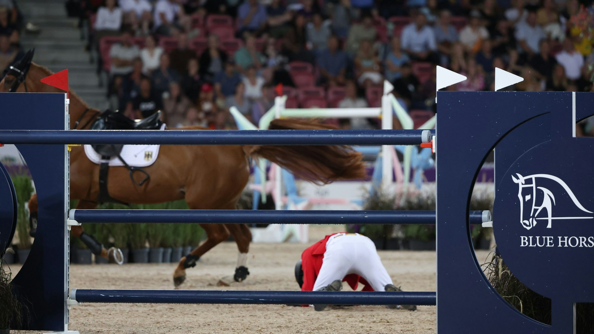Springreiter Springreiter Andre Thieme (Deutschland) ist von seinem Pferd DSP Chakaria gestürzt.
