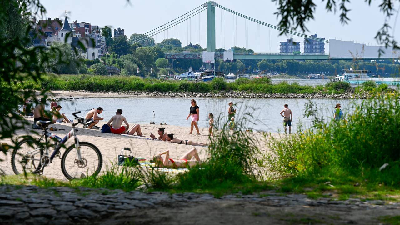 Bei schönem Wetter sonnen sich die Menschen an den Stränden des Rheins und suchen Abkühlung im Fluss.