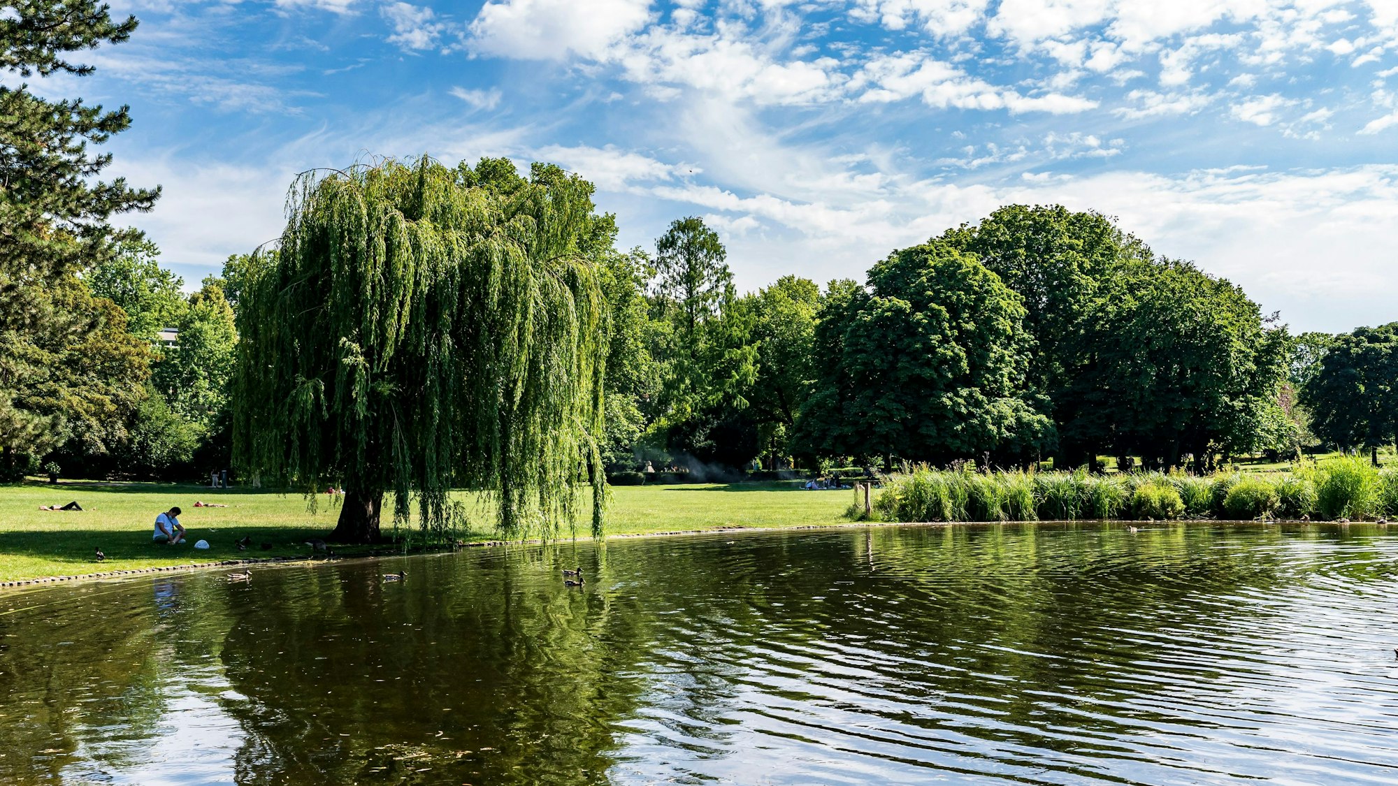 Bei einem Messerangriff am Samstagabend (13. August 2022) im Kölner Stadtteil Ehrenfeld wurde ein 25-jähriger Mann schwer verletzt. Das Foto zeigt eine Parkanlage in Köln-Mülheim.