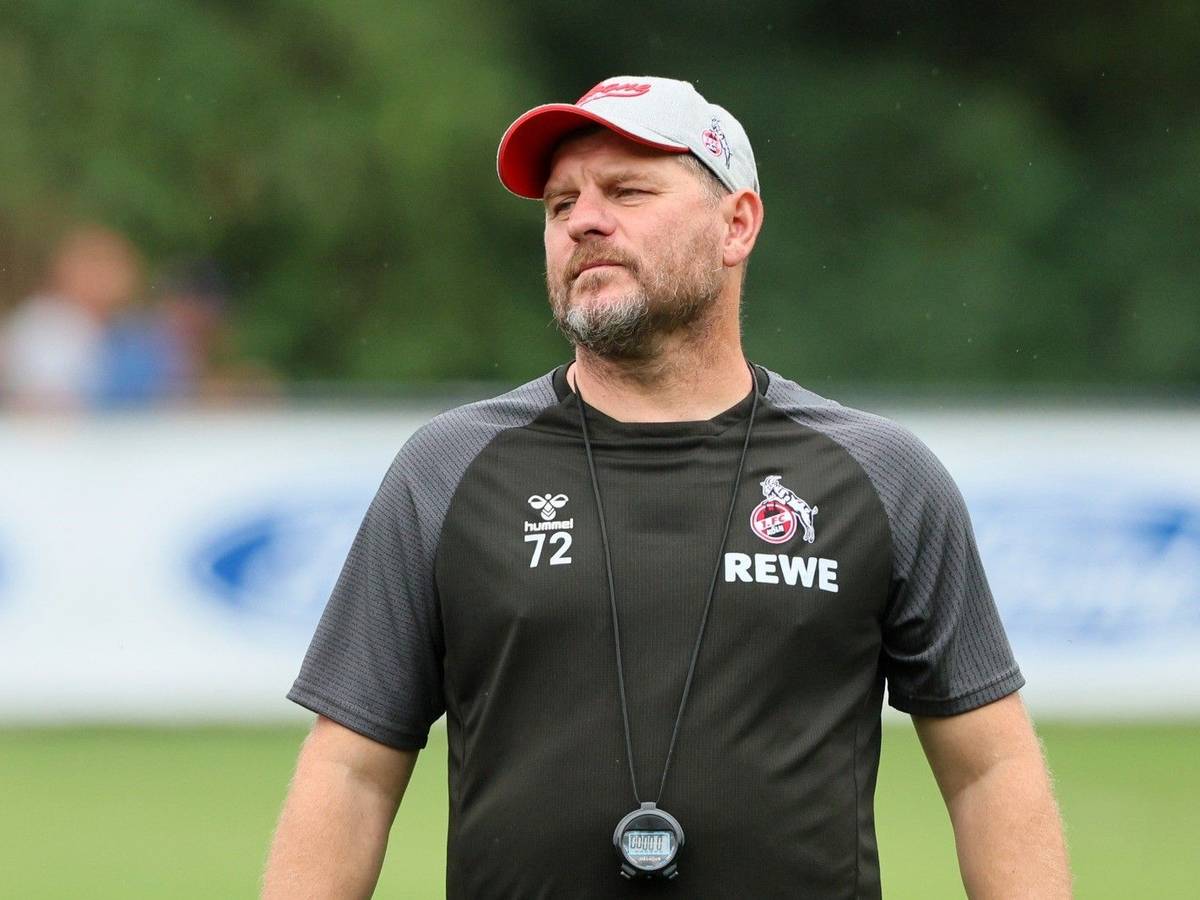Steffen Baumgart im Training des 1. FC Köln.