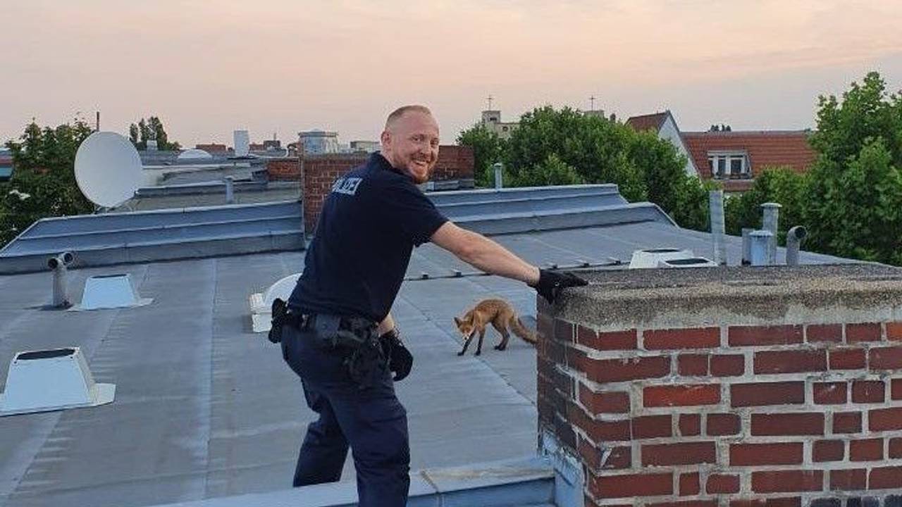 Die Polizei Berlin bewahrte sich bei dem Einsatz auf dem Dach die gute Laune.