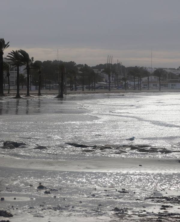 Nach Rekordhitze folgt Sturm und Regen: Auf Mallorca wird ein Wetterumschwung erwartet, am Montag (15. August) gilt die Warnstufe Gelb. Unser Foto zeigt den Strand von Arenal im Januar 2021.