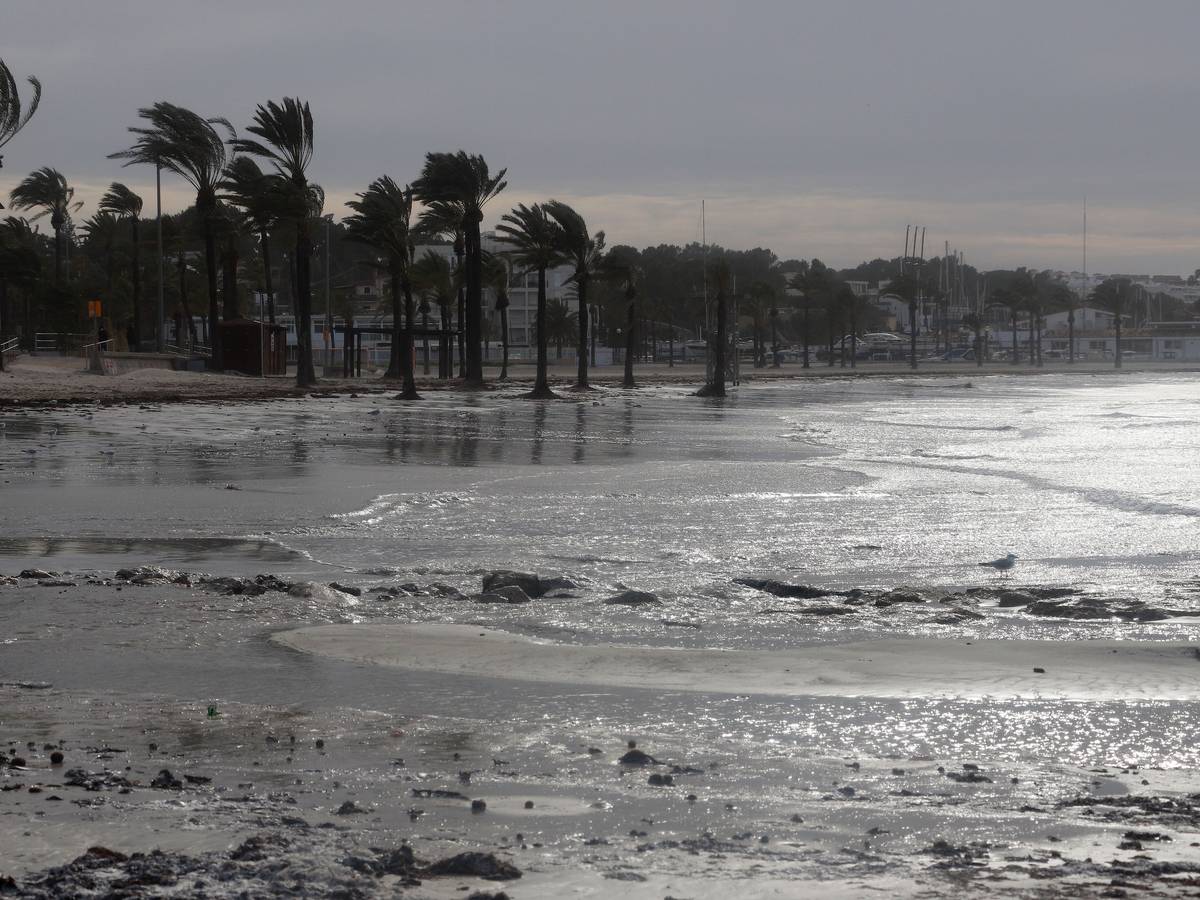Nach Rekordhitze folgt Sturm und Regen: Auf Mallorca wird ein Wetterumschwung erwartet, am Montag (15. August) gilt die Warnstufe Gelb. Unser Foto zeigt den Strand von Arenal im Januar 2021.