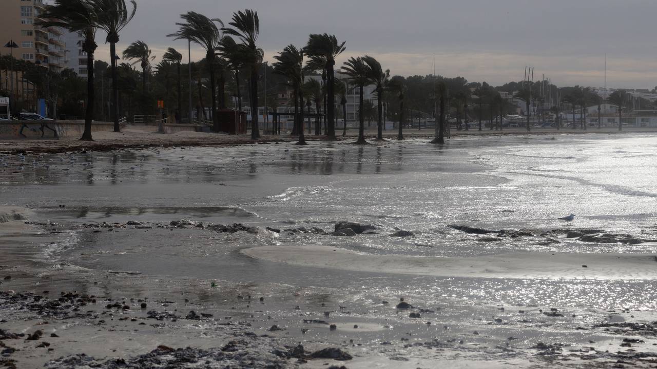 Nach Rekordhitze folgt Sturm und Regen: Auf Mallorca wird ein Wetterumschwung erwartet, am Montag (15. August) gilt die Warnstufe Gelb. Unser Foto zeigt den Strand von Arenal im Januar 2021.