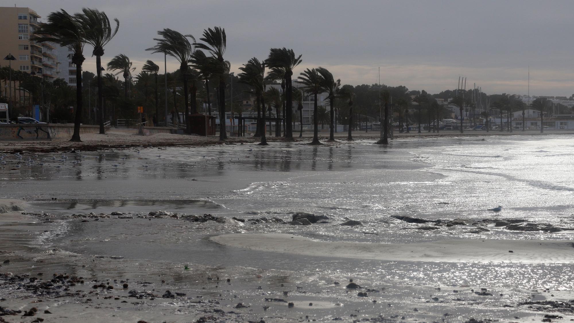 Nach Rekordhitze folgt Sturm und Regen: Auf Mallorca wird ein Wetterumschwung erwartet, am Montag (15. August) gilt die Warnstufe Gelb. Unser Foto zeigt den Strand von Arenal im Januar 2021.